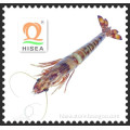 feed additive for shrimp Manufacture of kelp meal